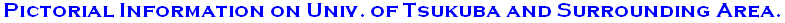 subtitle1.gif
